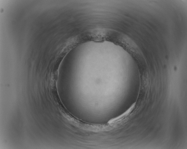 X0000085040037200703121445