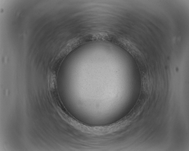 X0000085040038200703121445