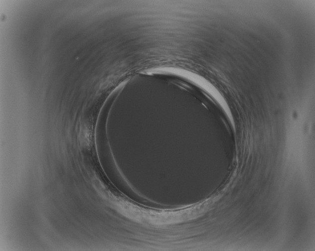 X0000085040039200703121445