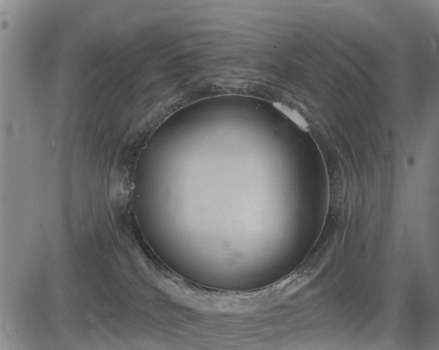 X0000085040040200703121445