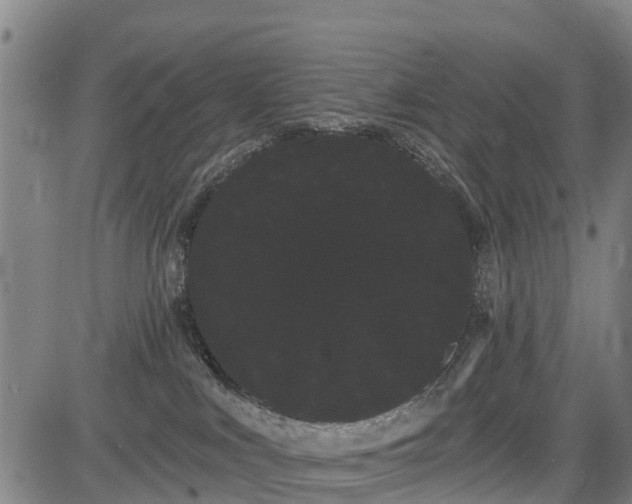 X0000085040043200703121445