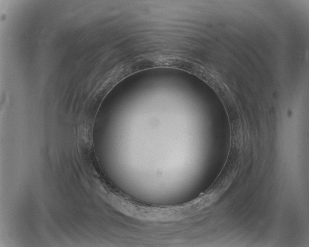 X0000085040044200703121445