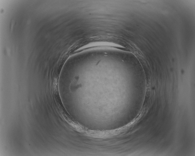 X0000085040045200703121445