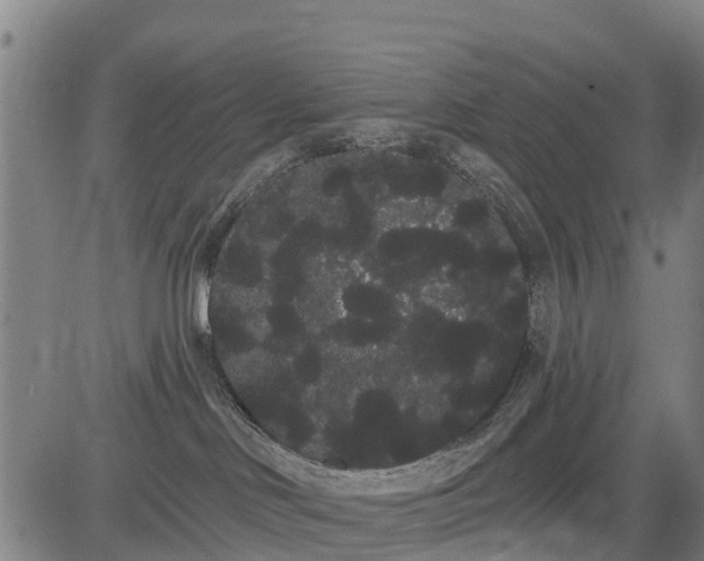 X0000085040046200703121445