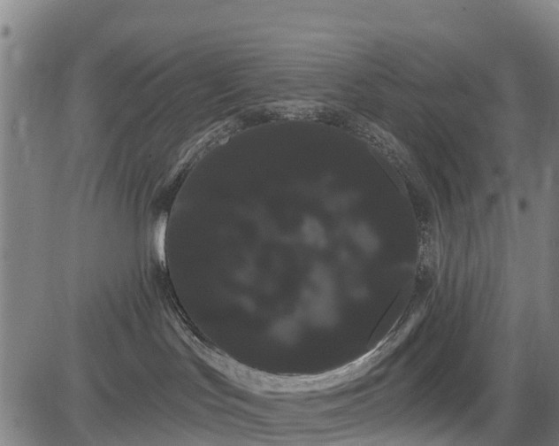 X0000085040047200703121445