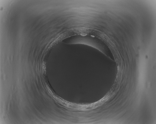 X0000085040048200703121445