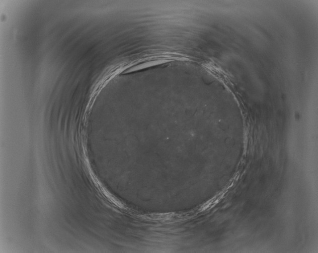 X0000085040049200703121444