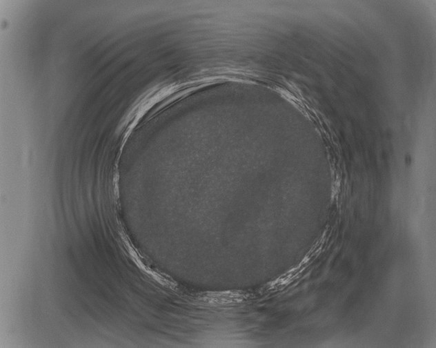 X0000085040050200703121444