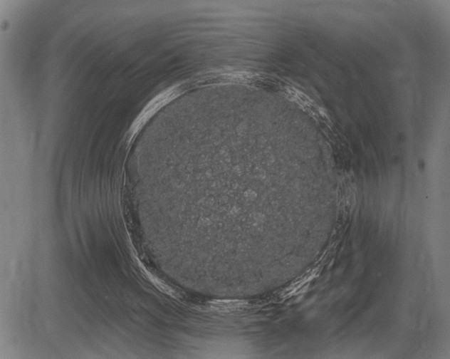 X0000085040051200703121444