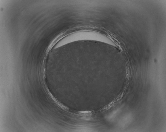 X0000085040053200703121444