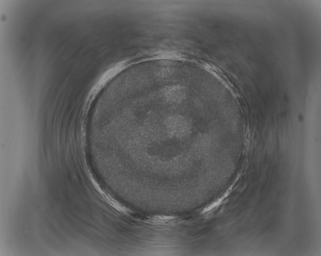 X0000085040055200703121444