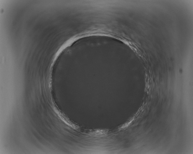 X0000085040056200703121444