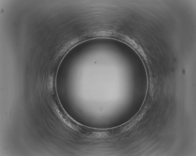 X0000085040057200703121444