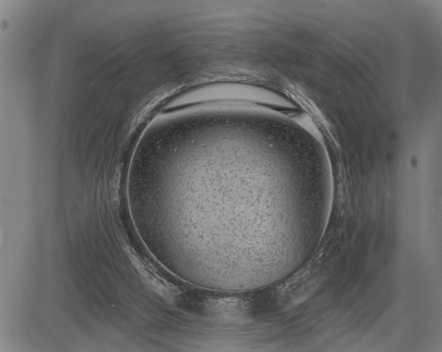 X0000085040058200703121444