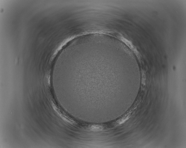 X0000085040060200703121444