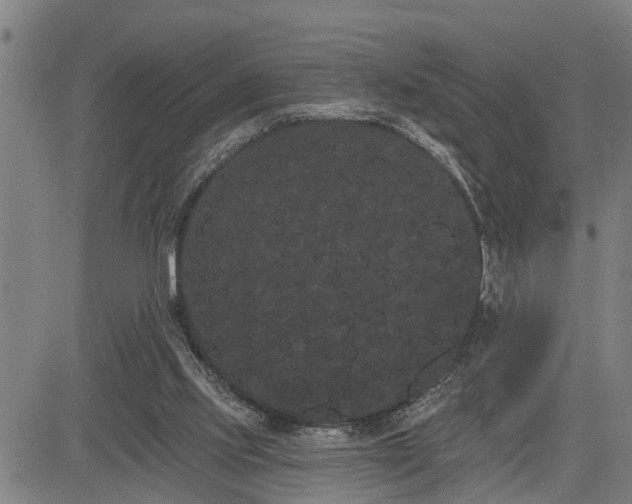 X0000085040061200703121444