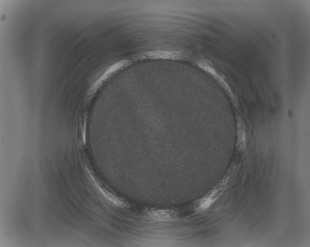 X0000085040062200703121444