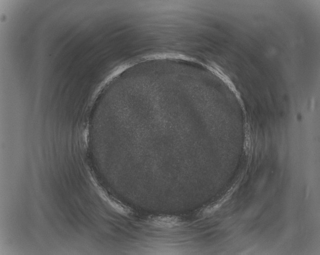 X0000085040063200703121444