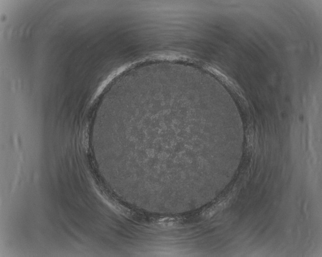 X0000085040064200703121444