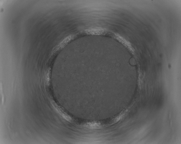 X0000085040065200703121444