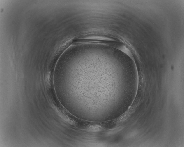 X0000085040066200703121444