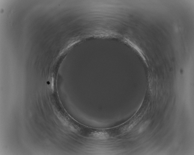 X0000085040067200703121444