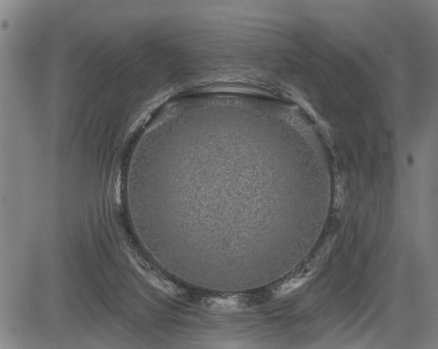 X0000085040068200703121444