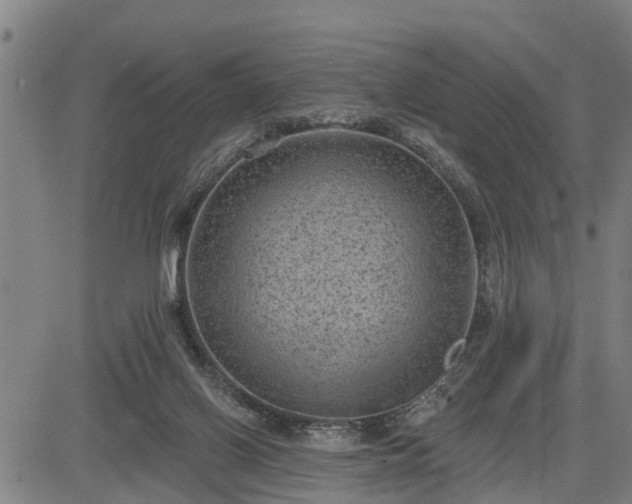 X0000085040070200703121444