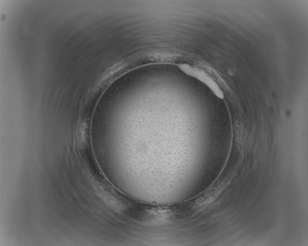 X0000085040071200703121444