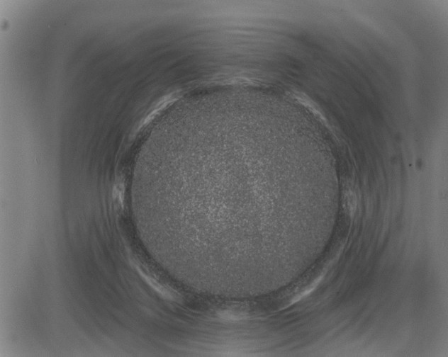 X0000085040072200703121444