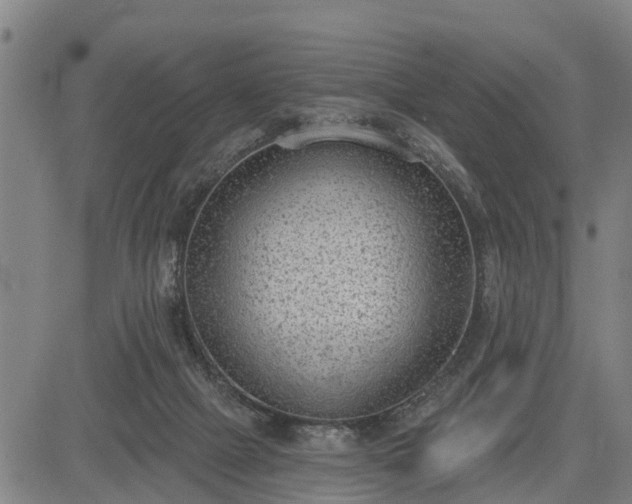 X0000085040073200703121444