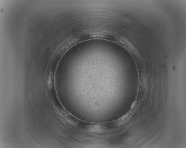 X0000085040074200703121444