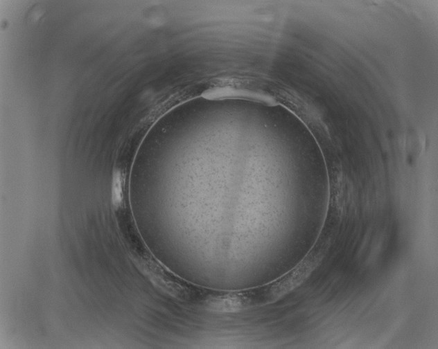 X0000085040075200703121444