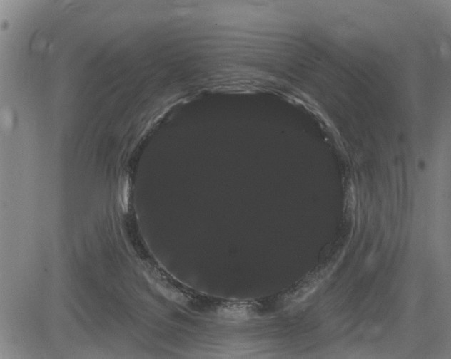 X0000085040076200703121444