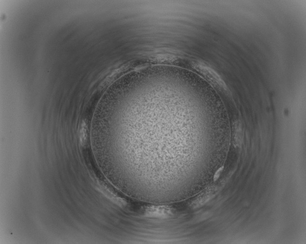 X0000085040077200703121444