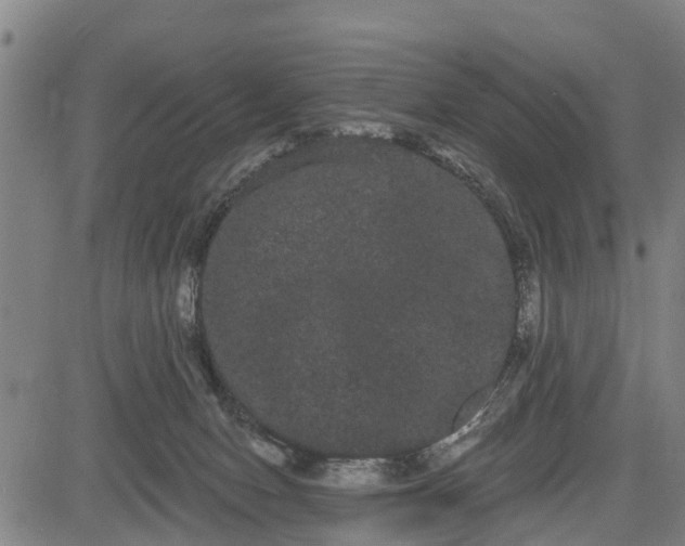 X0000085040078200703121444