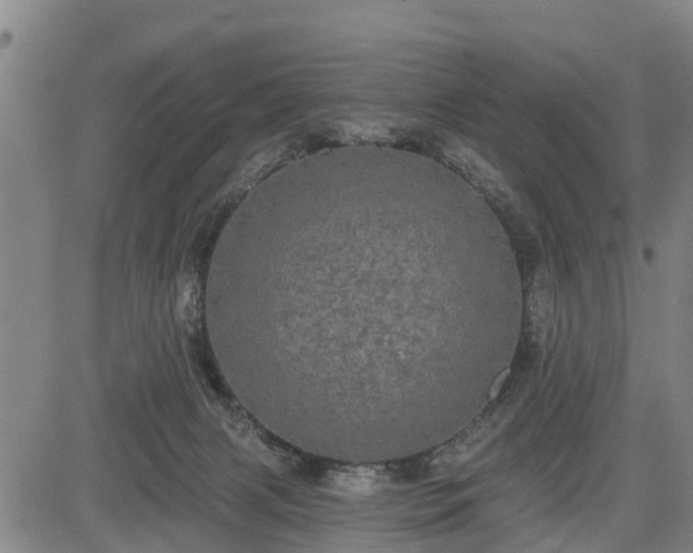 X0000085040079200703121444