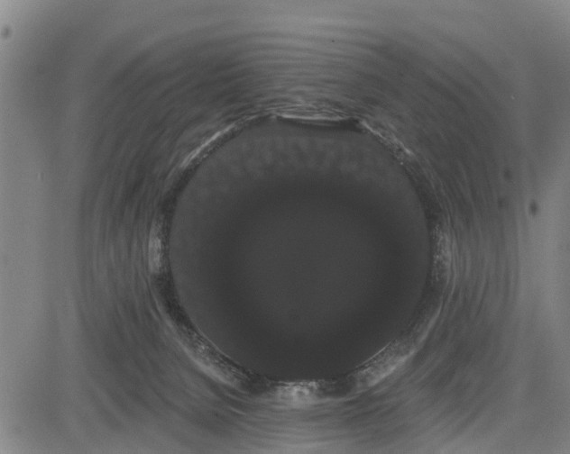 X0000085040080200703121444