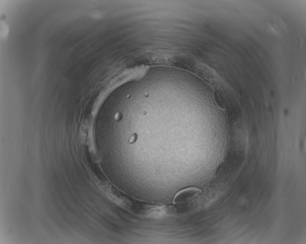 X0000085040083200703121444