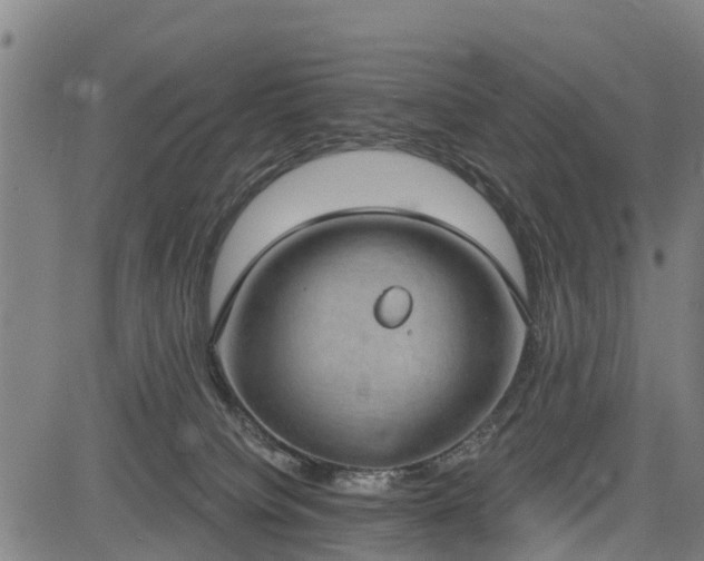 X0000085040084200703121444