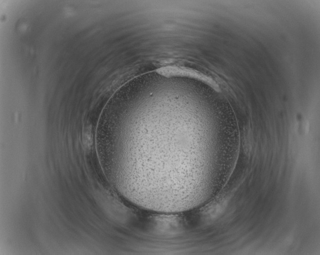 X0000085040085200703121444