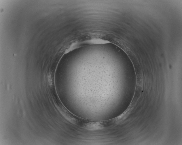 X0000085040086200703121444