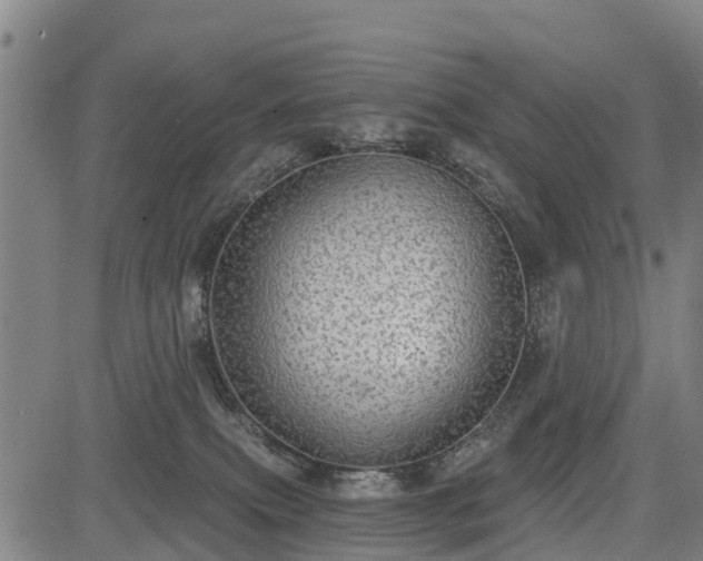 X0000085040087200703121444