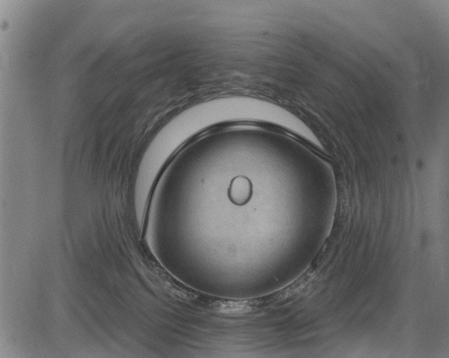 X0000085040088200703121444