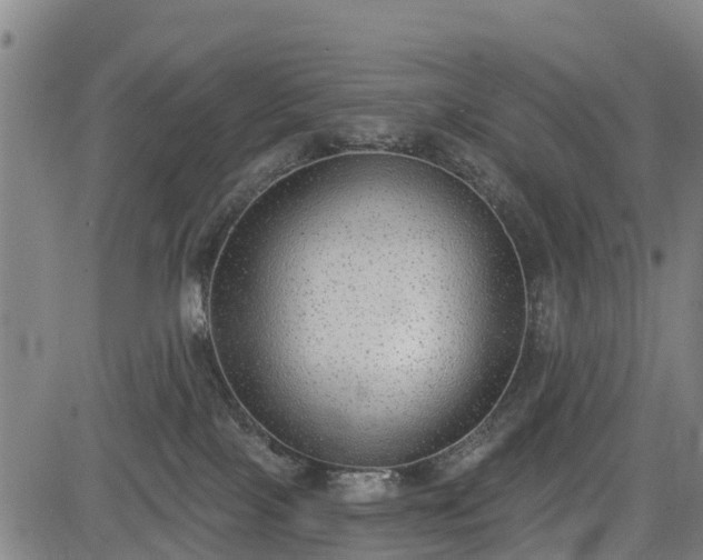 X0000085040089200703121444