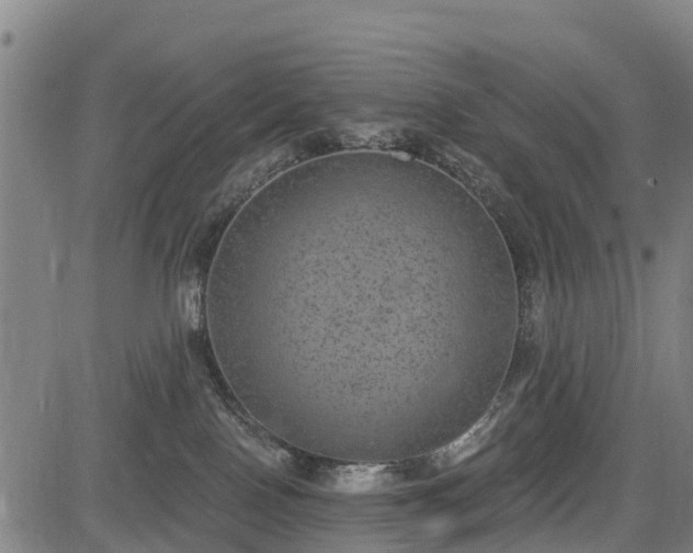 X0000085040090200703121444