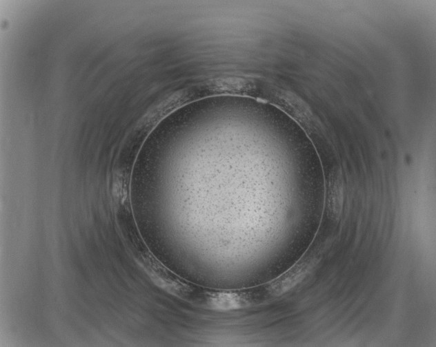 X0000085040091200703121444