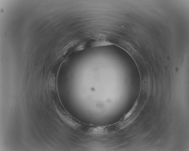 X0000085040092200703121444