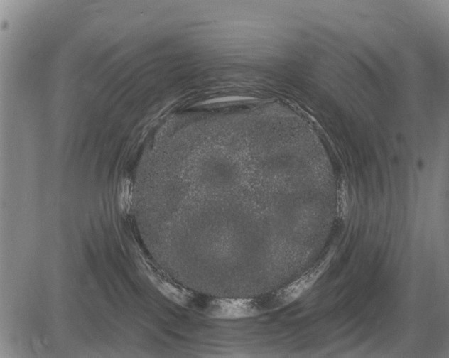 X0000085040093200703121444