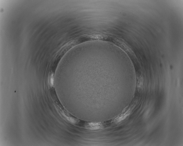 X0000085040095200703121444